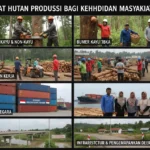 Manfaat Hutan Produksi bagi Kehidupan Masyarakat (ft.istimewa)