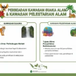 Perbedaan Kawasan Suaka Alam dan Kawasan Pelestarian Alam (ft.IA)