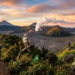 Peran Taman Nasional dalam Melestarikan Keanekaragaman Hayati (AiStudio)