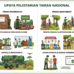 Upaya Pelestarian Taman Nasional oleh Pemerintah dan Masyarakat (ft.IA)