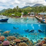 Upaya Pelestarian Sumber Daya Alam Kemaritiman agar Tetap Berkelanjutan (AiStudio)