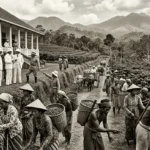 Kehidupan Masyarakat Indonesia pada Masa Kolonialisme dan imperialisme (AiStudio)