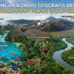 Hubungan Kondisi Geografis dengan Keragaman Alam Indonesia (AiStudio)